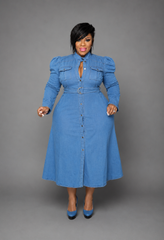 Dallas Denim Flare Dress