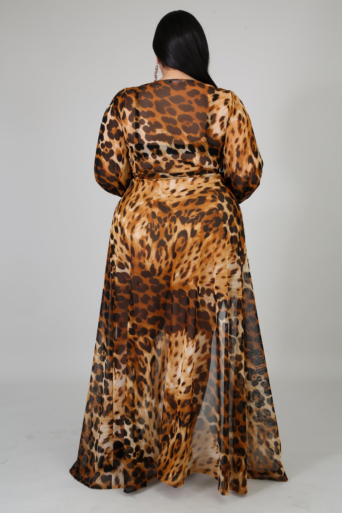 Amira Animal Print Dress