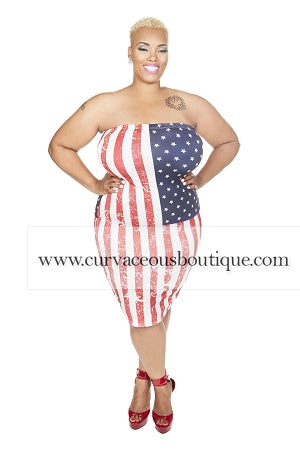 Tube American Flag Dress
