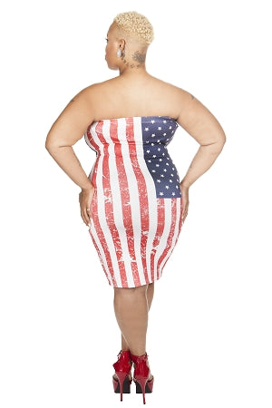 Tube American Flag Dress